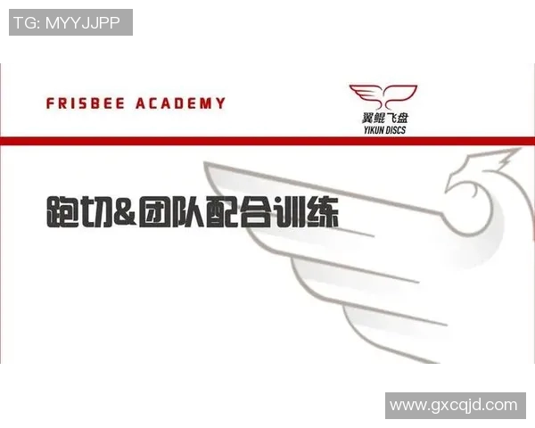 北京飞盘队运营革新探索:从团队管理到市场推广的全方位升级之路