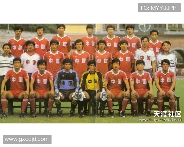 广州羽毛球队在联赛中的团队协作表现分析与展望