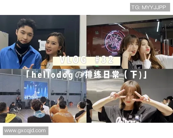 杭州街舞队实力分析与表现评估:数据透视下的舞蹈魅力与团队协作