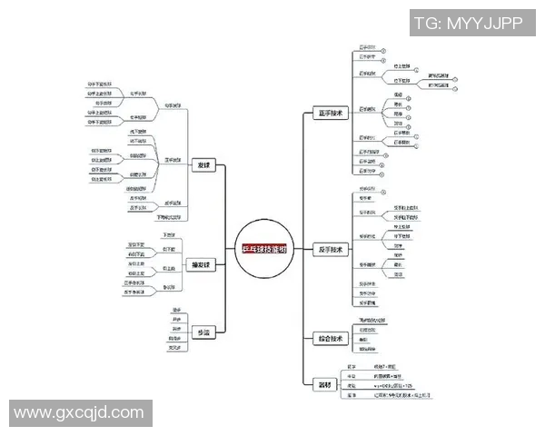 乒乓球技艺探秘：杭州乒乓球队快攻战术的深度解析与实践