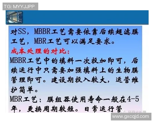 南京排球队的战术解析与控制技巧深度探讨