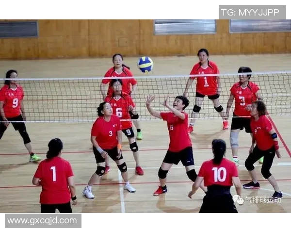 杭州排球队心理素质分析与提升策略探讨