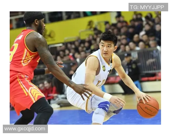 李军专访：从青涩少年到篮球传奇的奋斗与成长历程回顾
