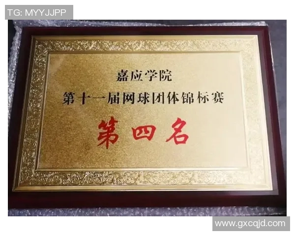 南京网球队运营分析:成功经验与面临挑战的深度探讨 南京网球队运营分析:成功经验与面临挑战的深度探讨